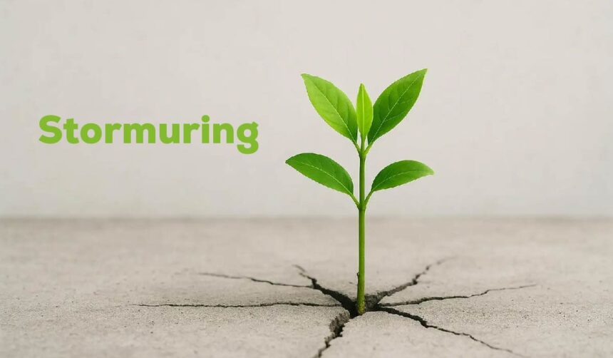 Stormuring